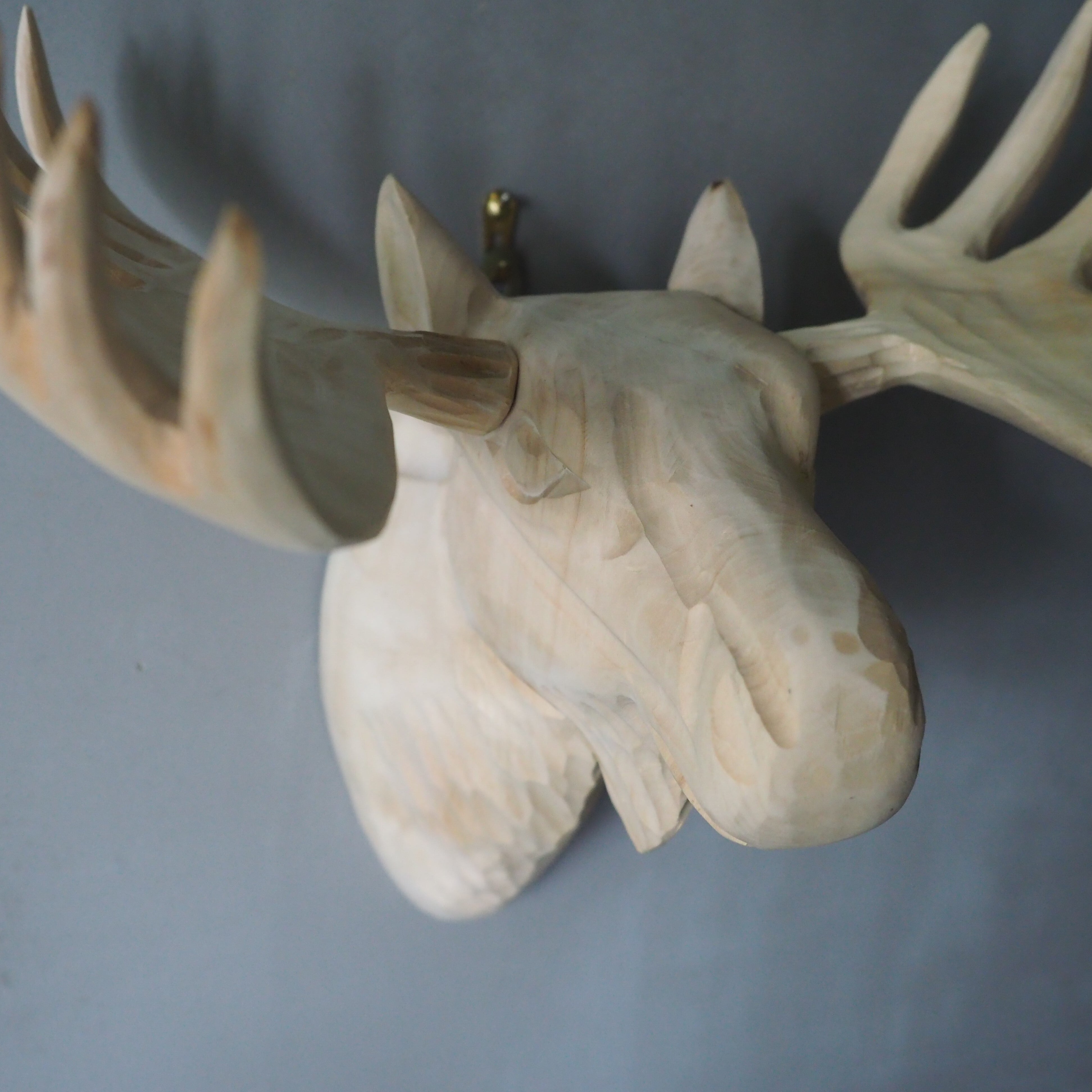 Wood Animal Head / Moose