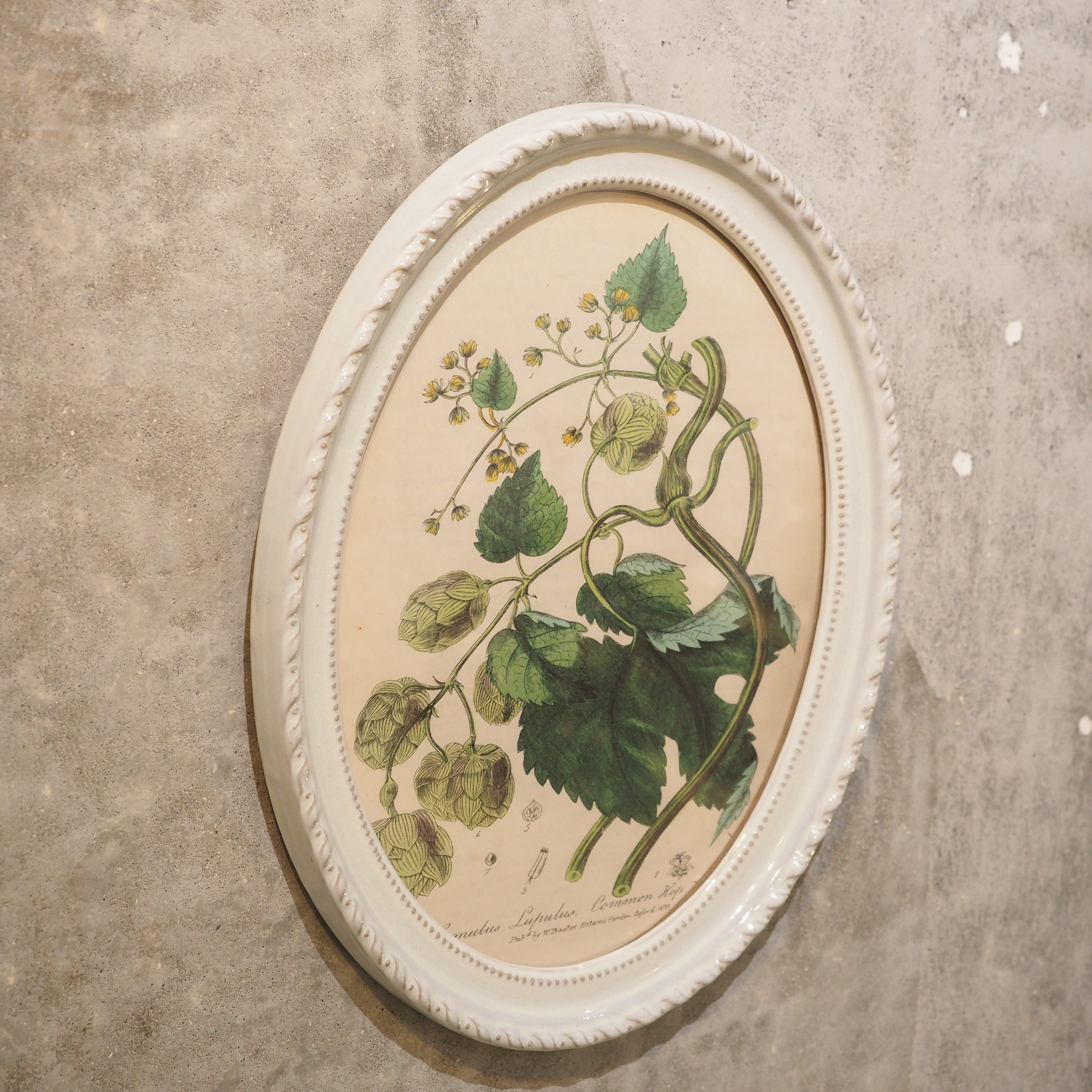 Antique Oval Frame CF-007