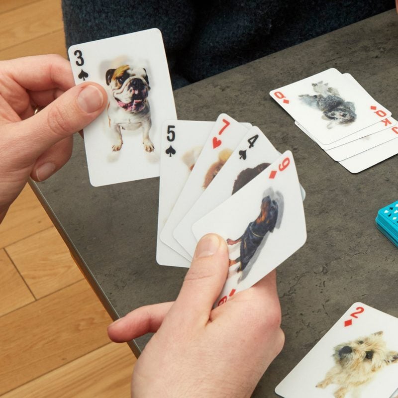 3D Dog Cards