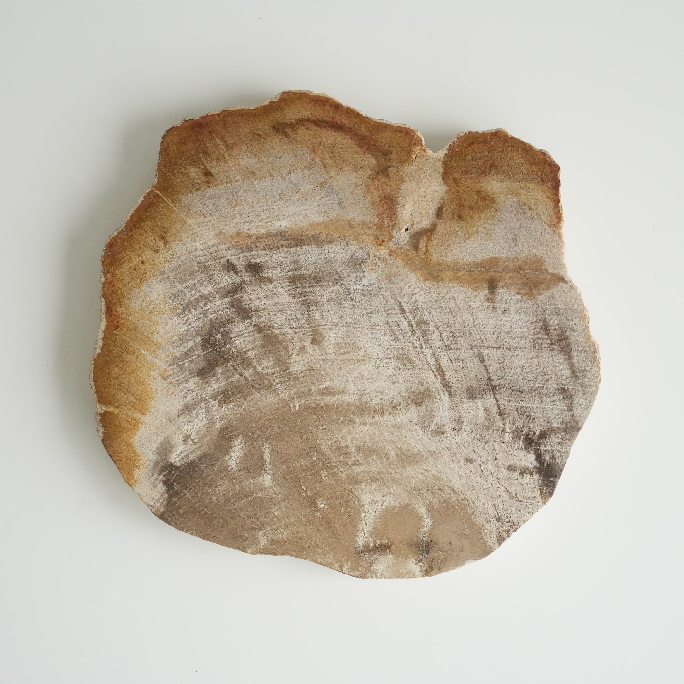 Wood Plate 20 Natural　C