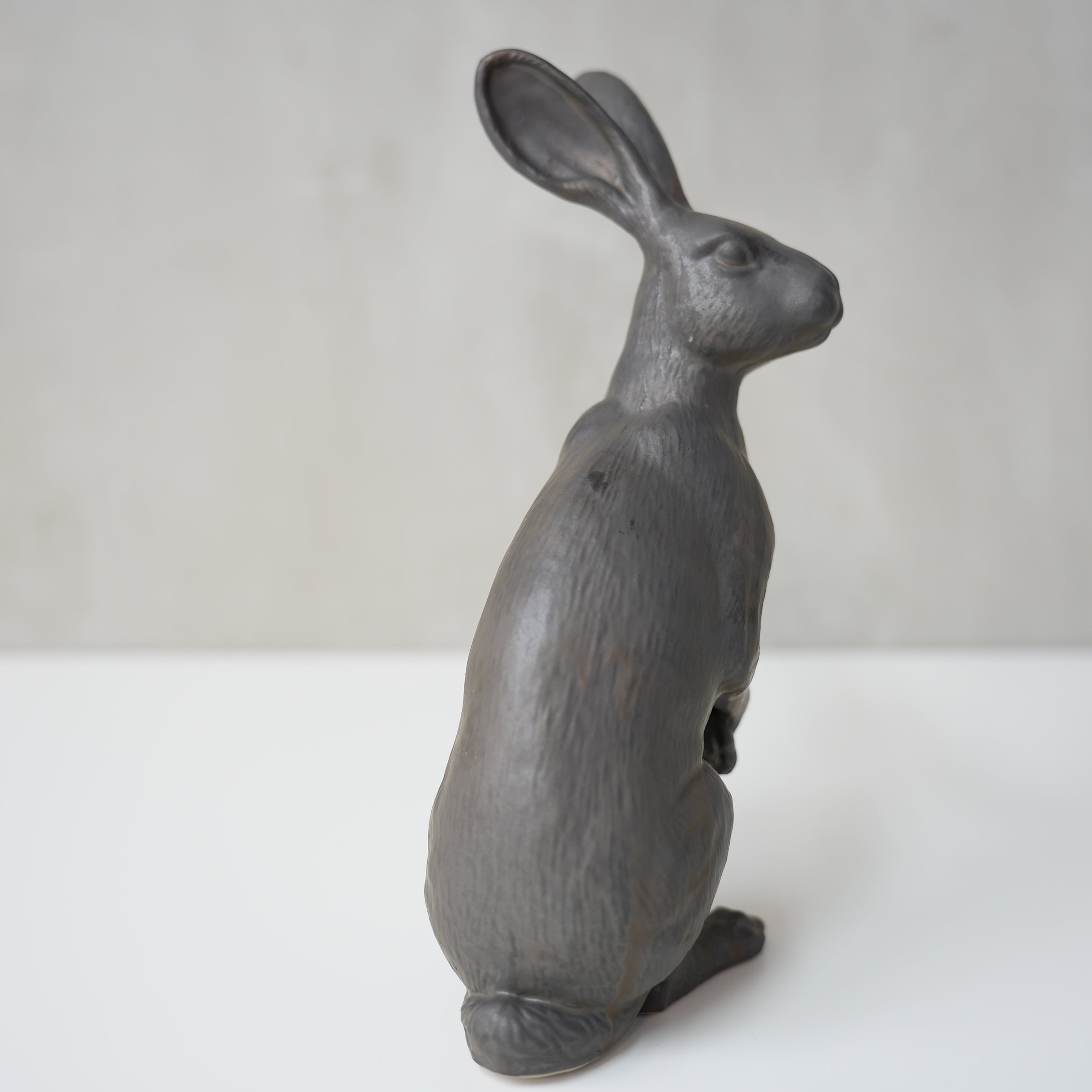 Curious Hare Black PP-023-04