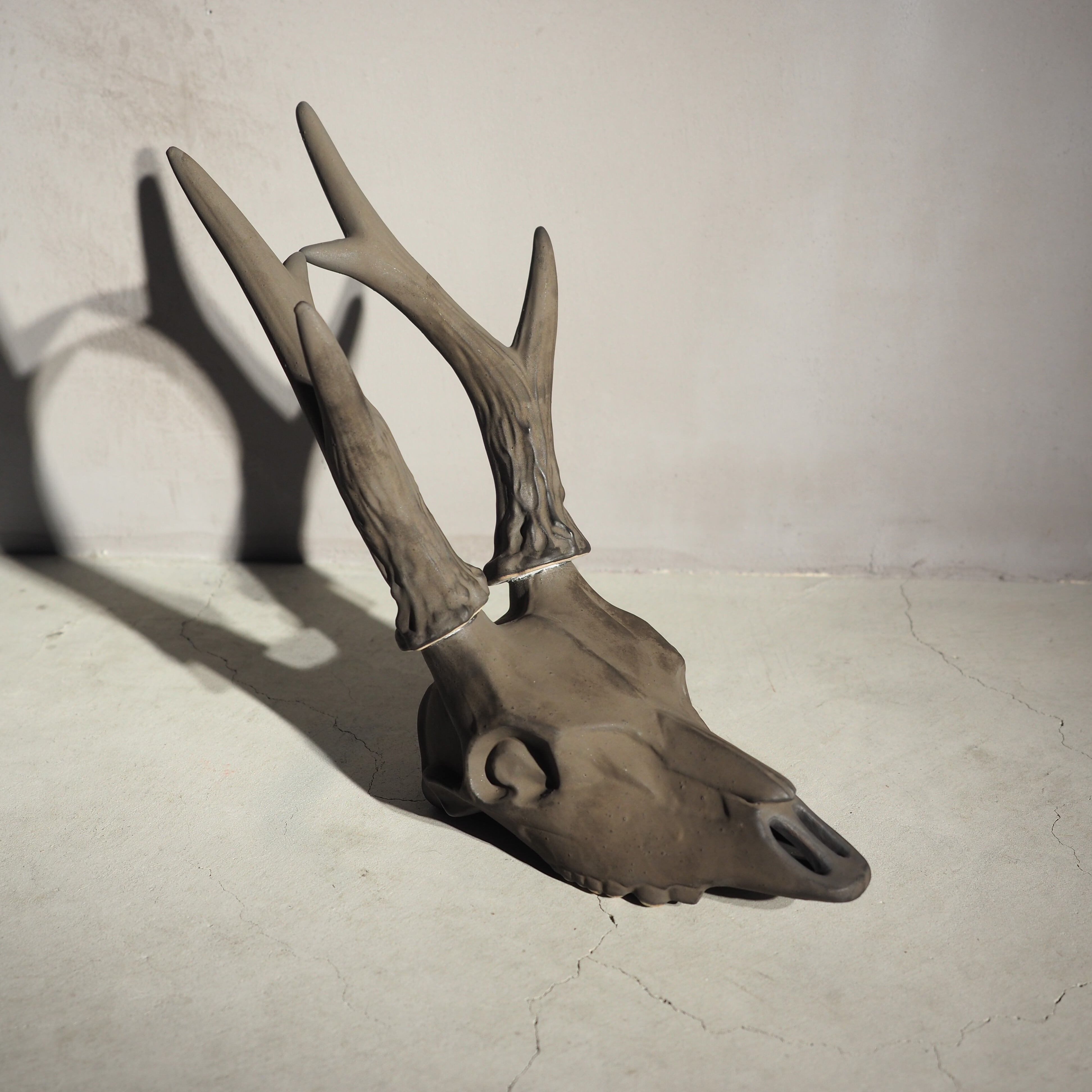 Deer Skull BK DS-001-04