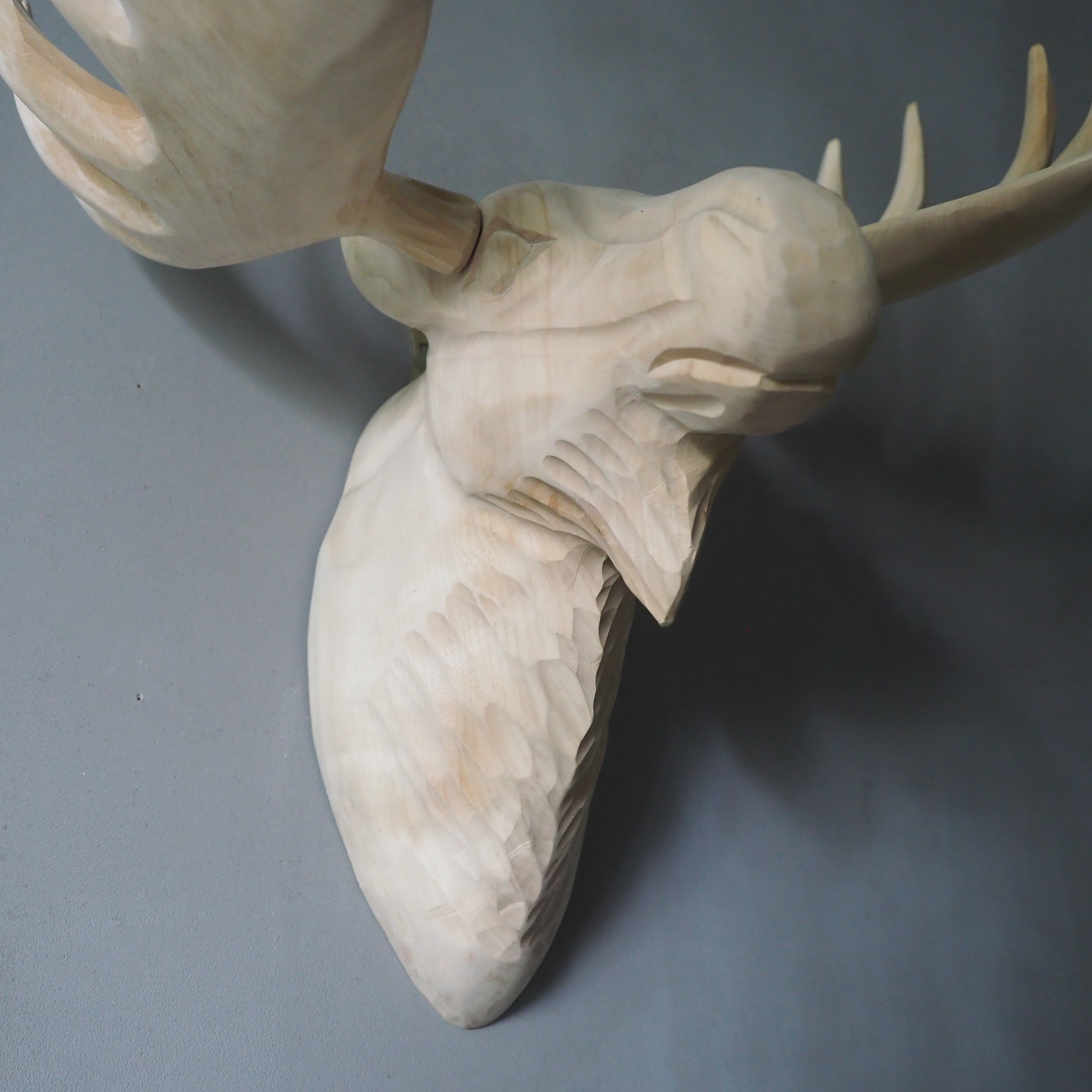 Wood Animal Head / Moose