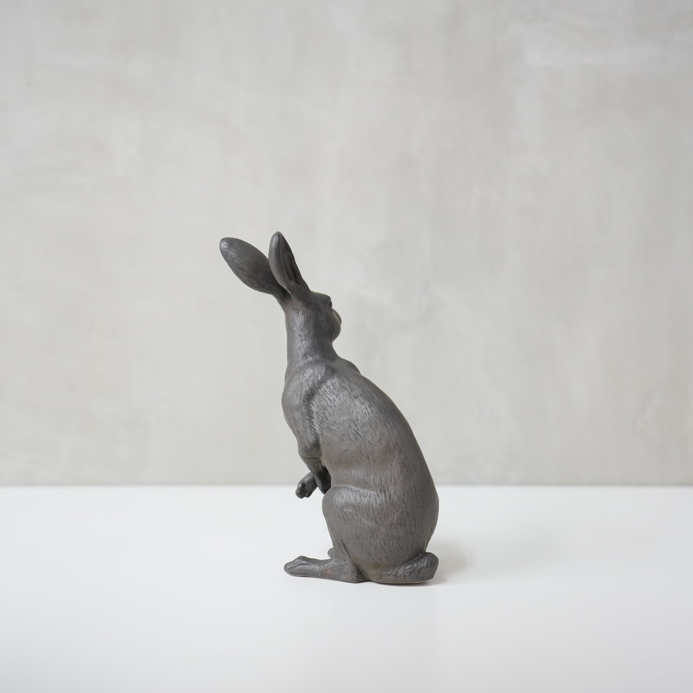 Curious Hare Black PP-023-04