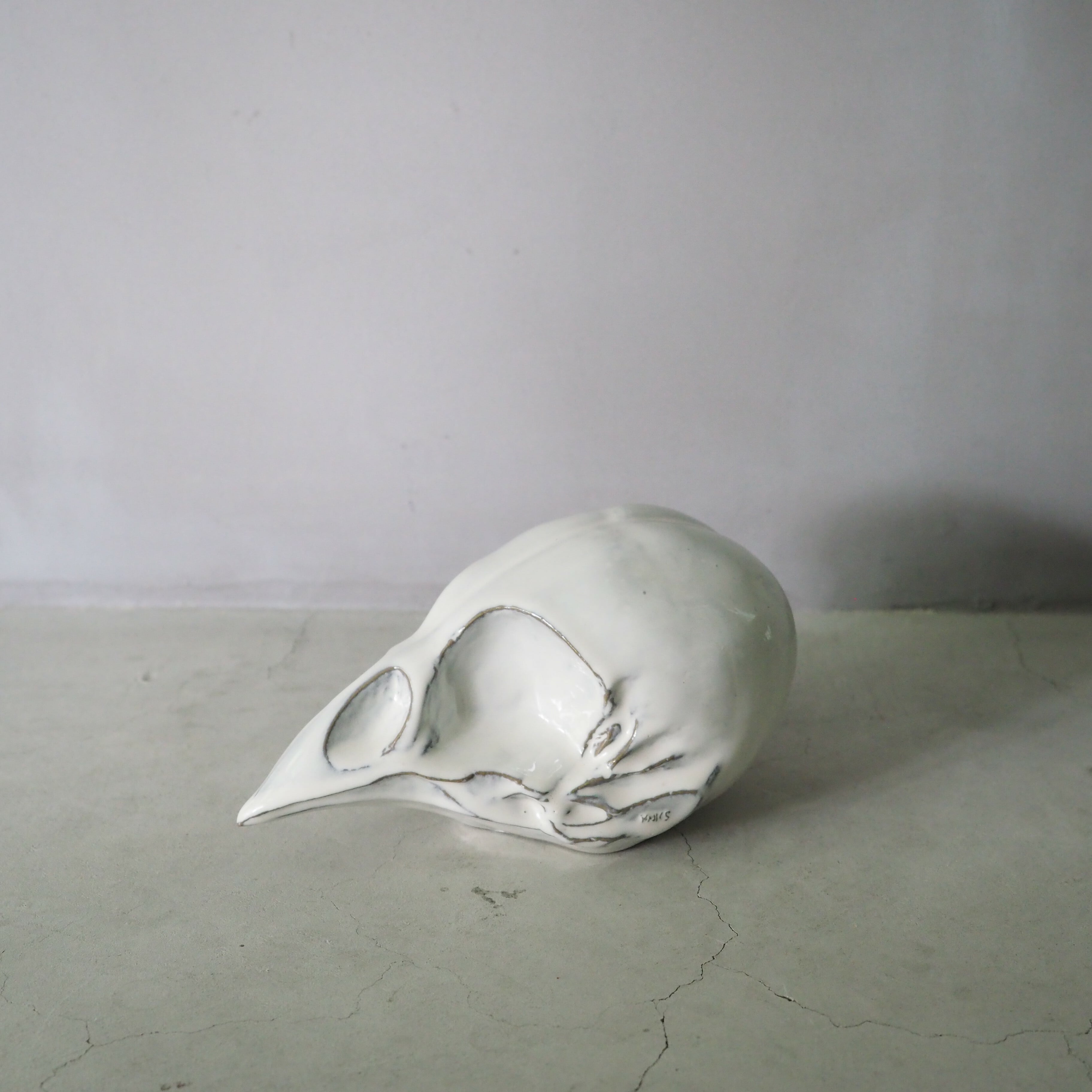 Bird Skull BSK-002-05