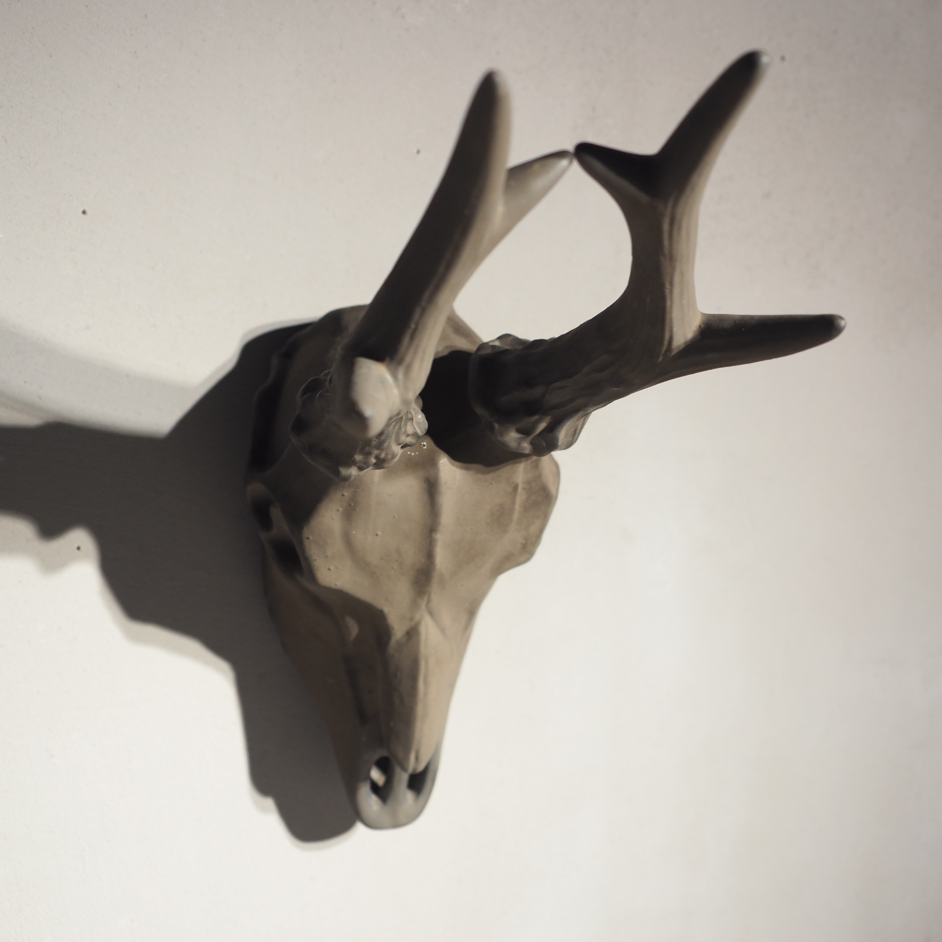 Deer Skull BK DS-001-04