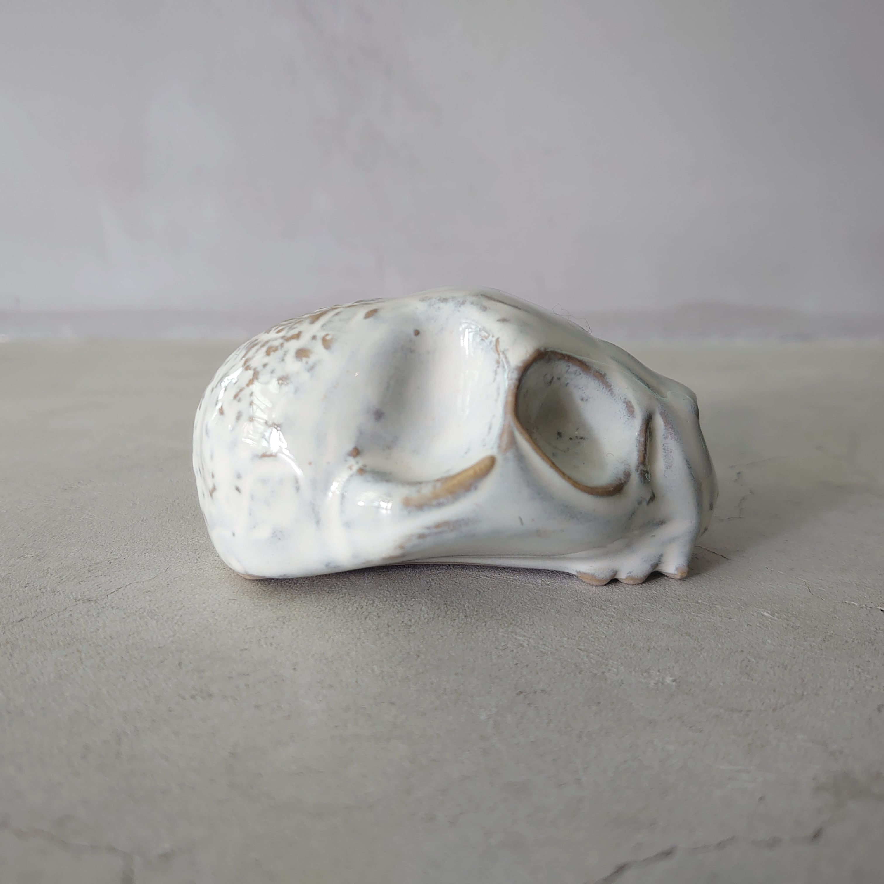 Baby Cat Skull BSK-005