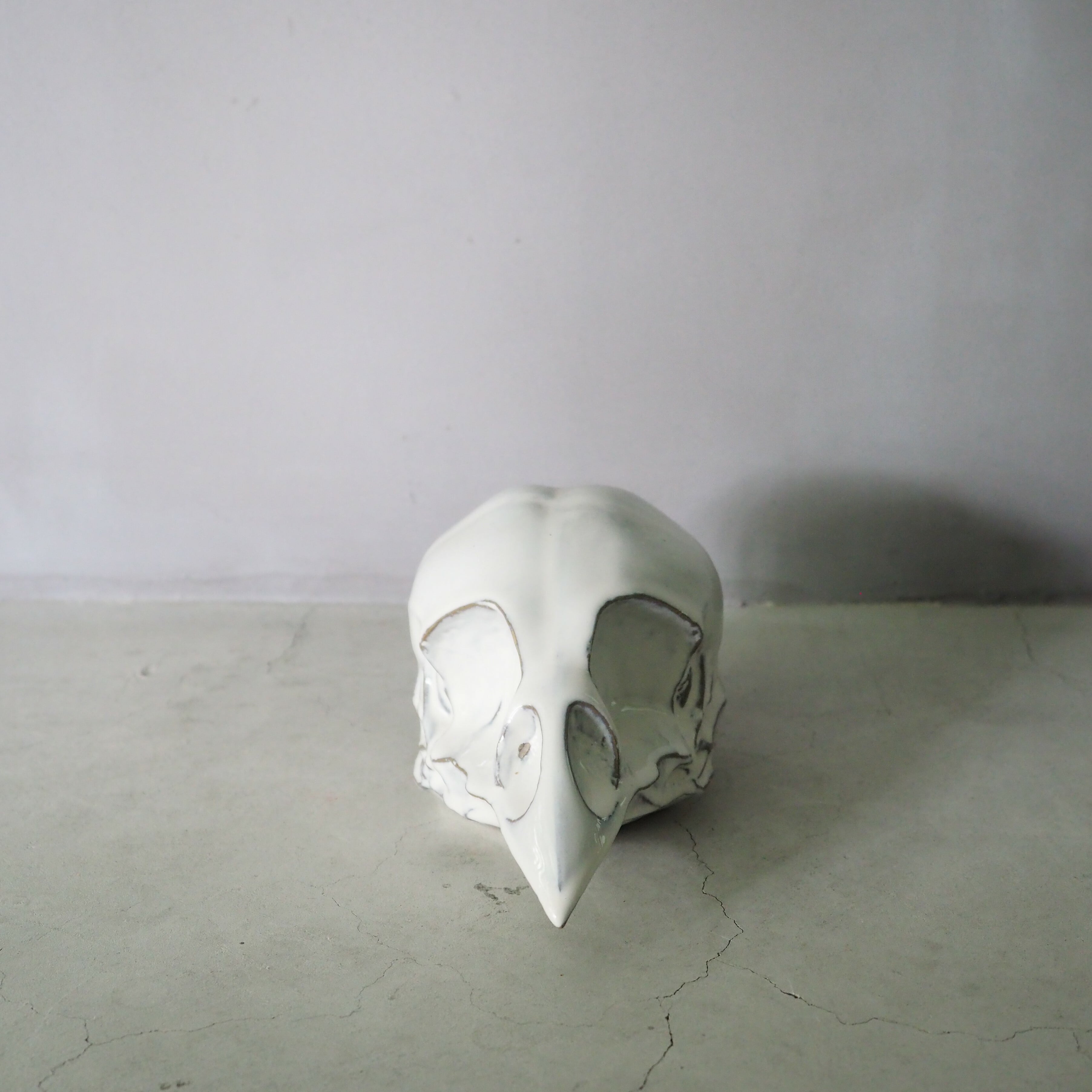 Bird Skull BSK-002-05