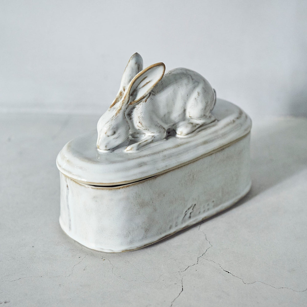 Rabbit Container PP-021
