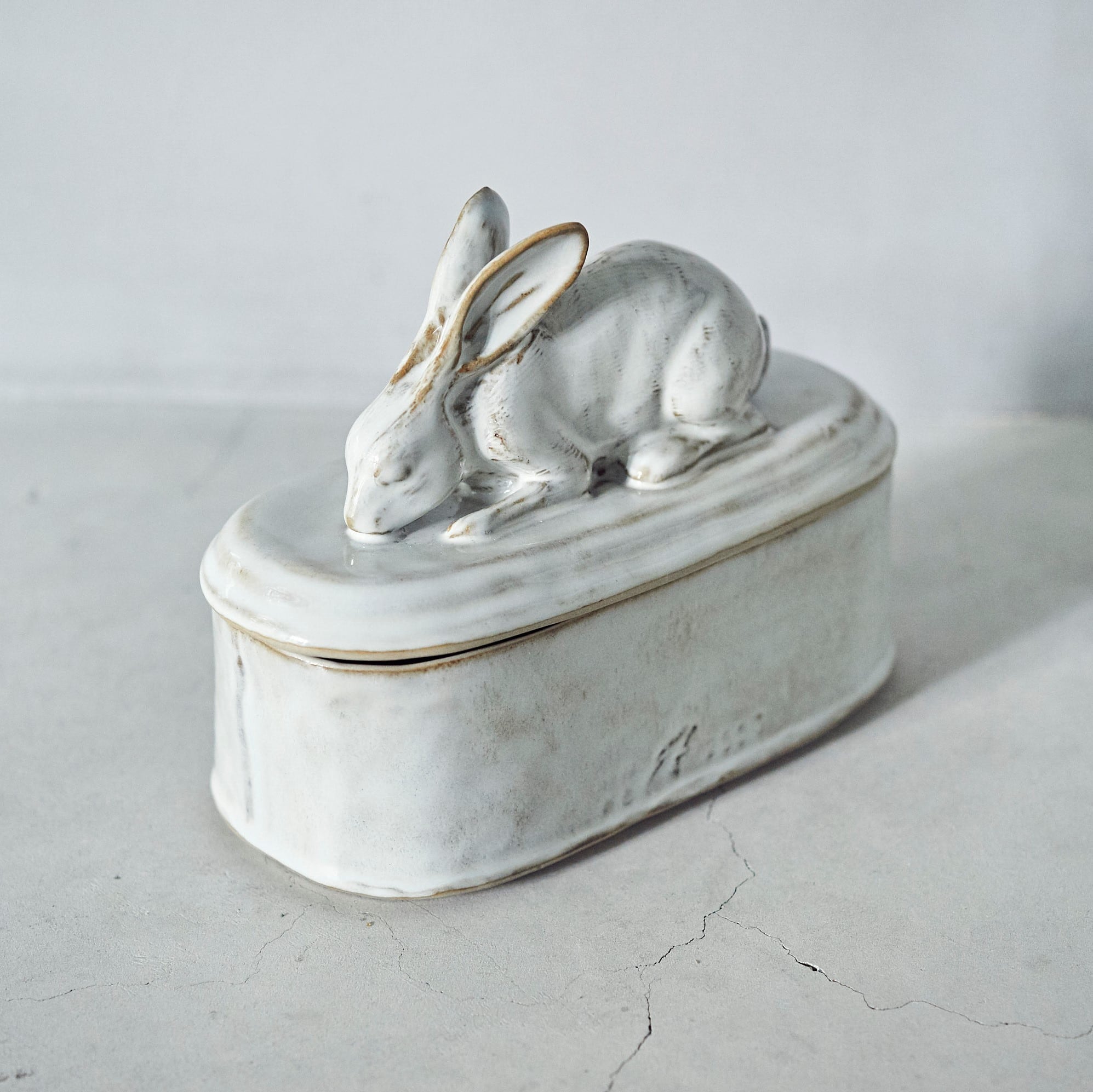 Rabbit Container PP-021