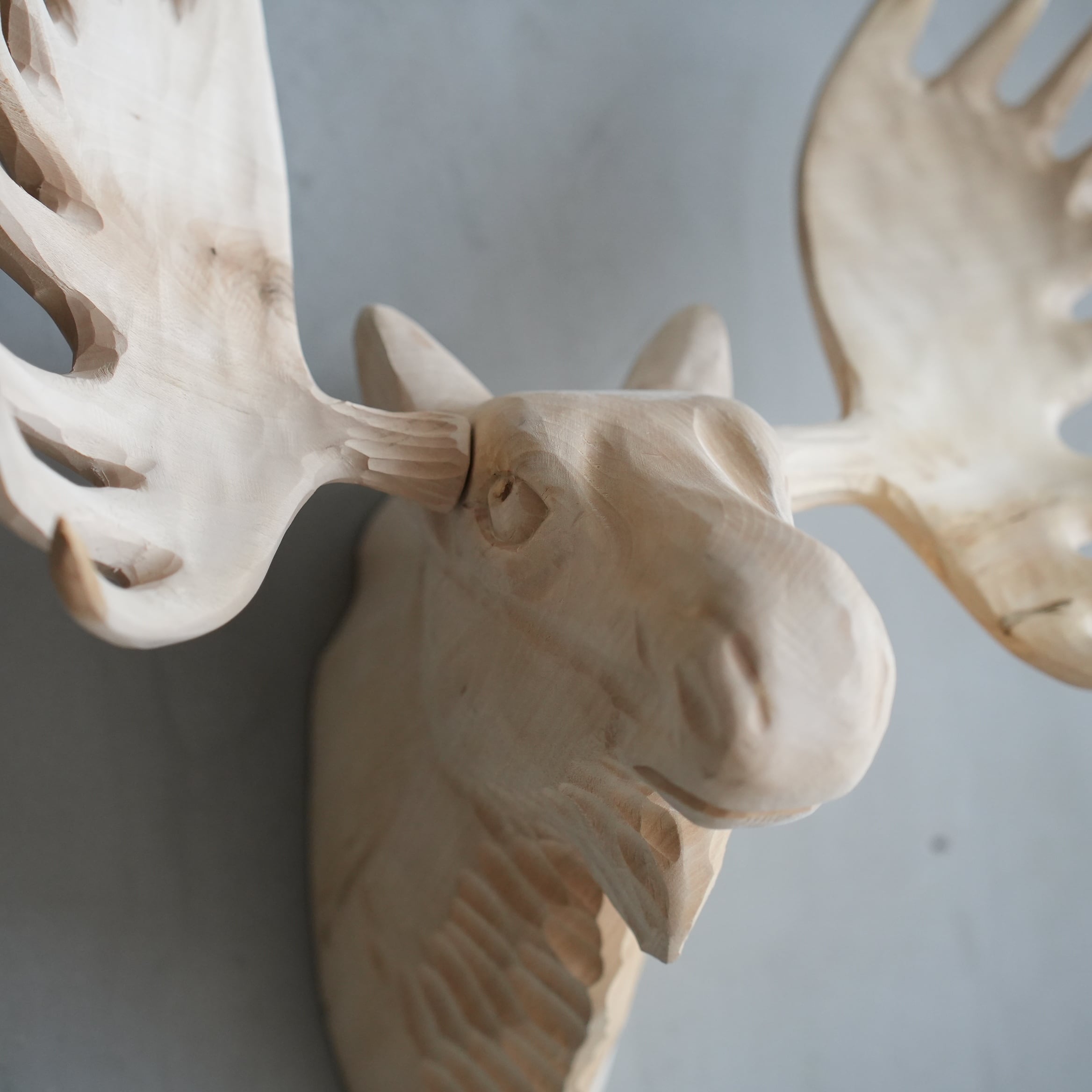 Wood Animal Head / Moose