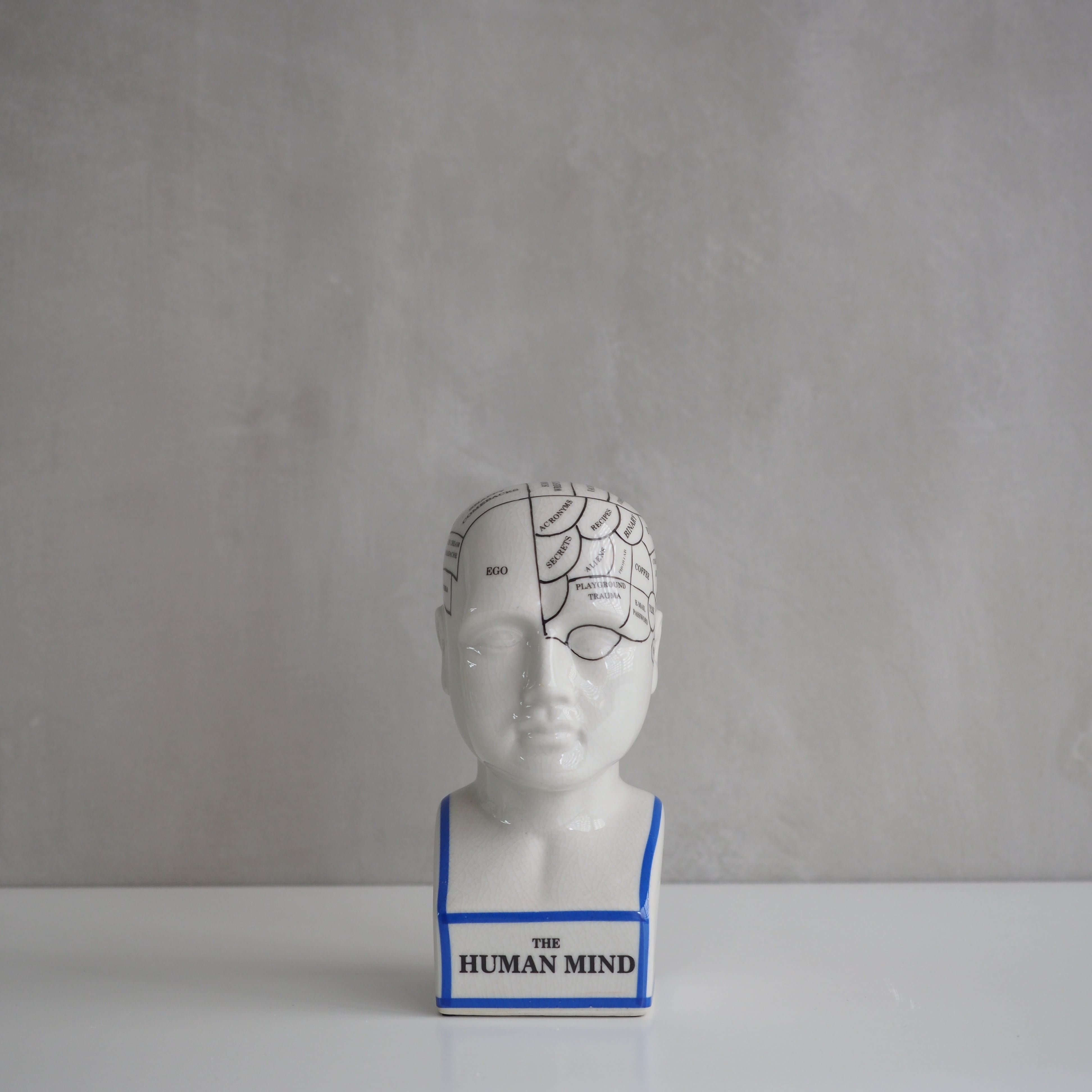 THE PHRENOLOGY M