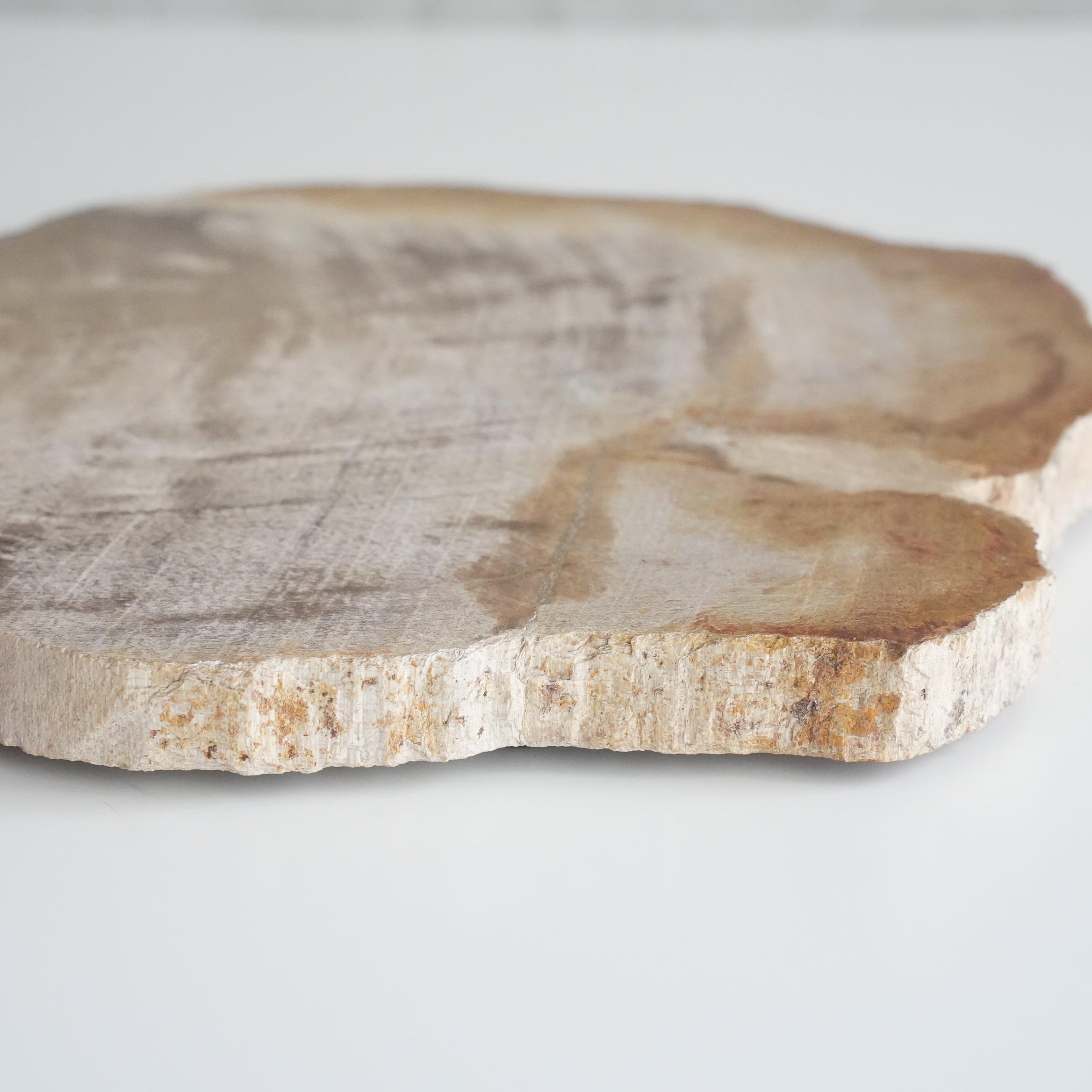 Wood Plate 20 Natural　C