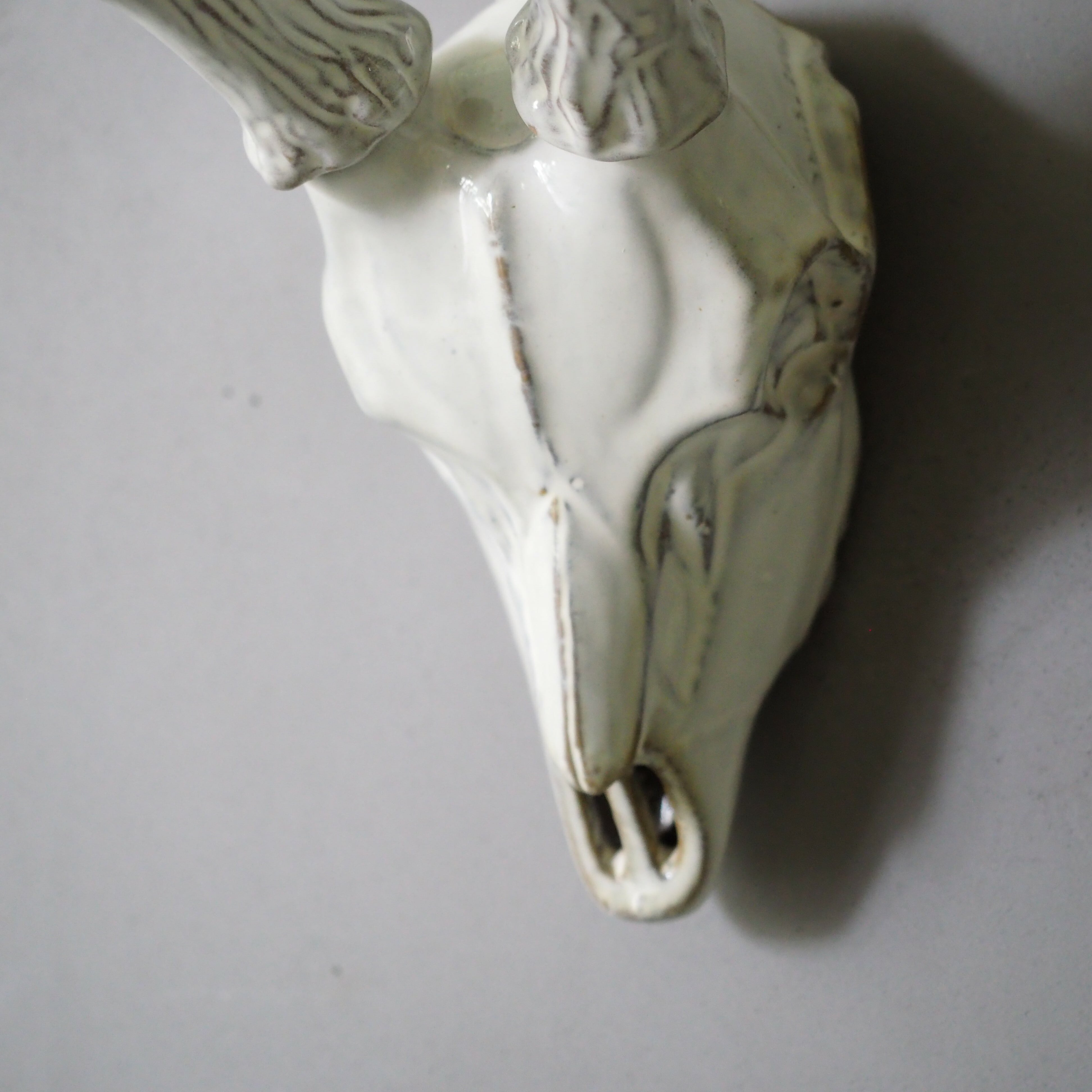 Deer Skull DS-001