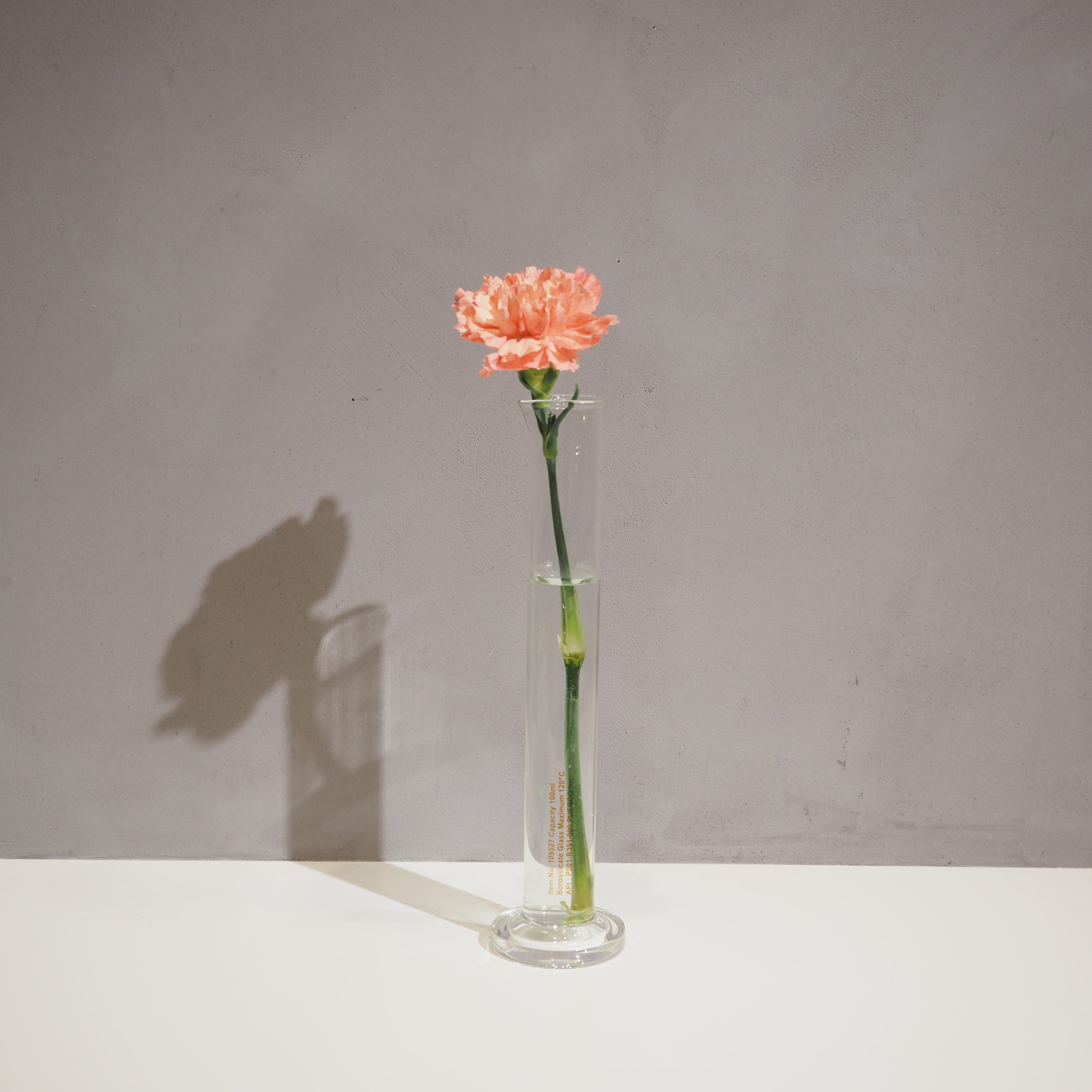 Single Flower Vase L