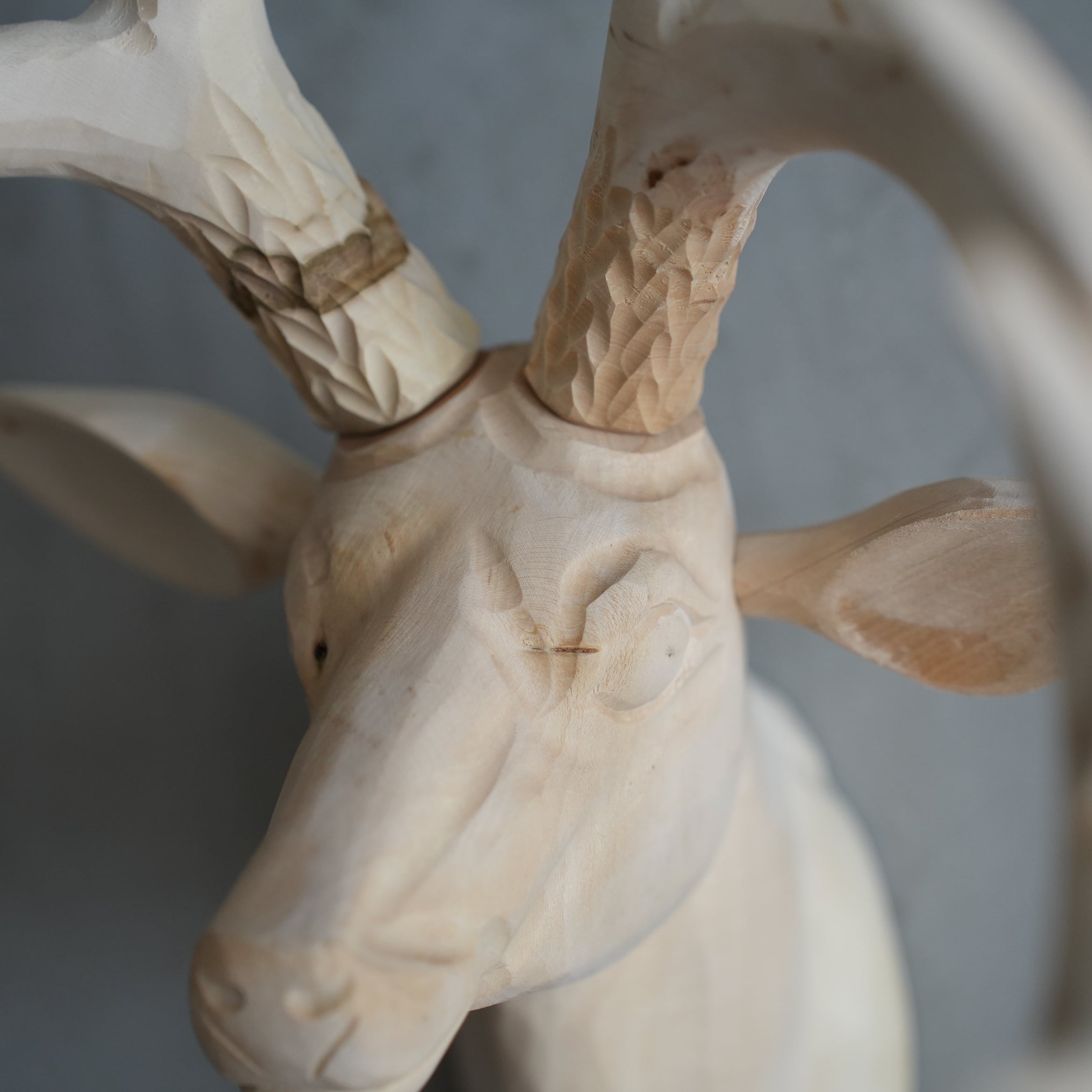 Wood Animal Head / Deer