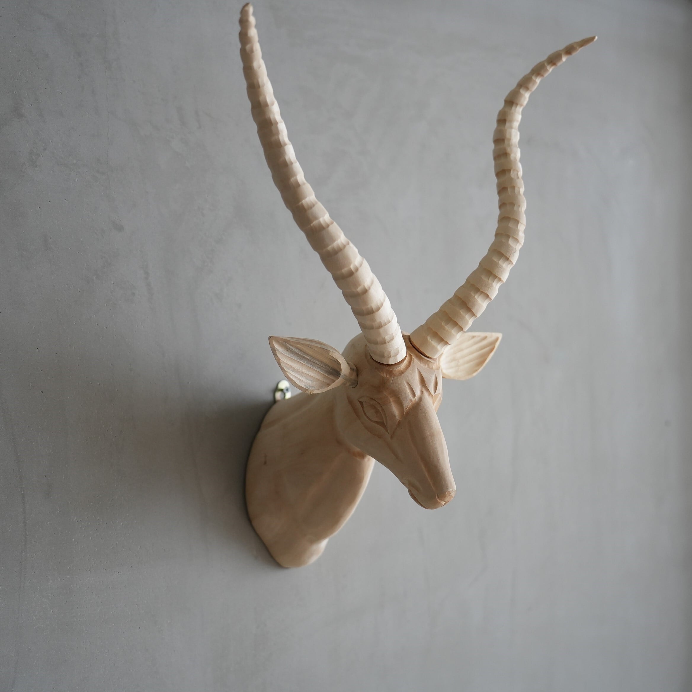 Wood Animal Head / Gazelle