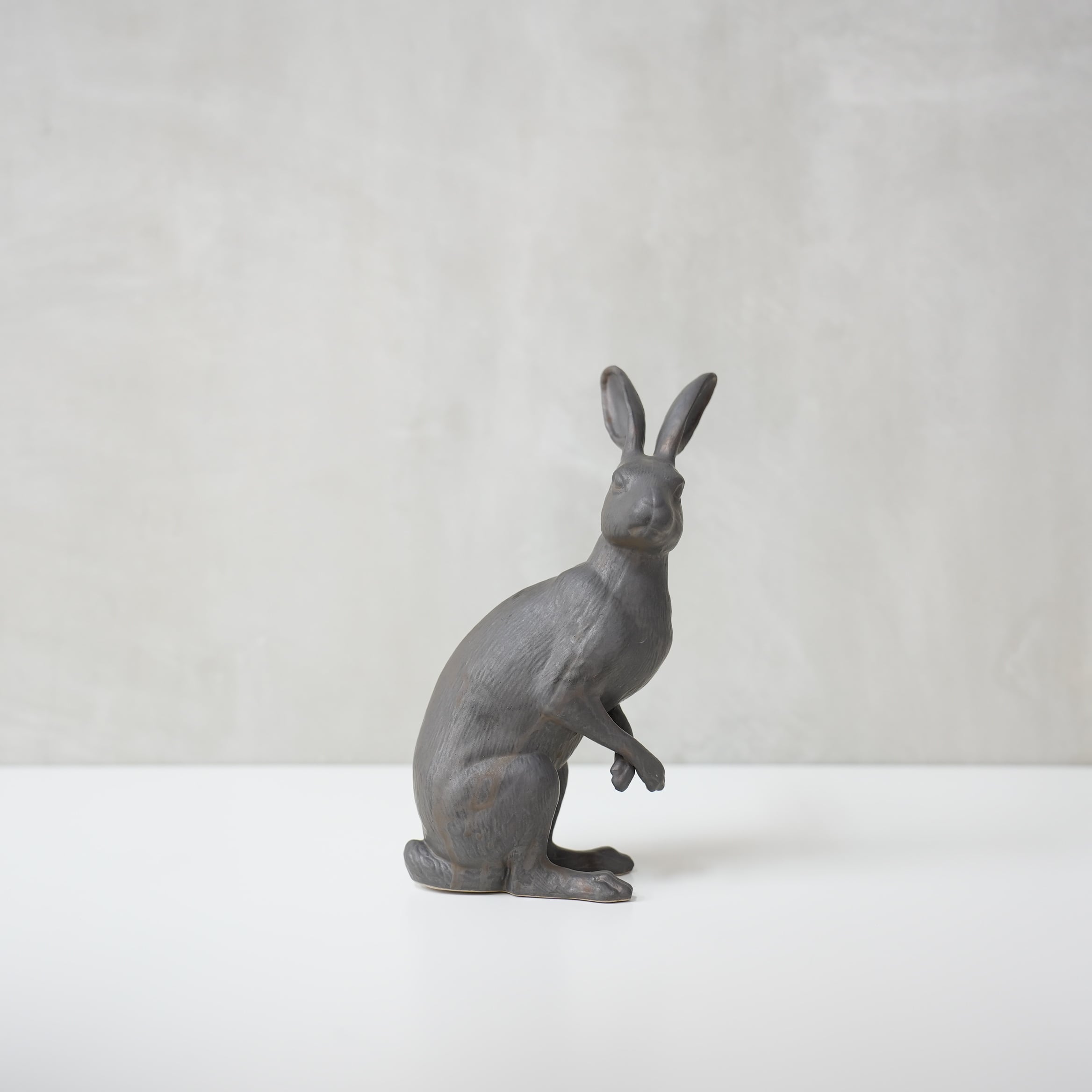 Curious Hare Black PP-023-04