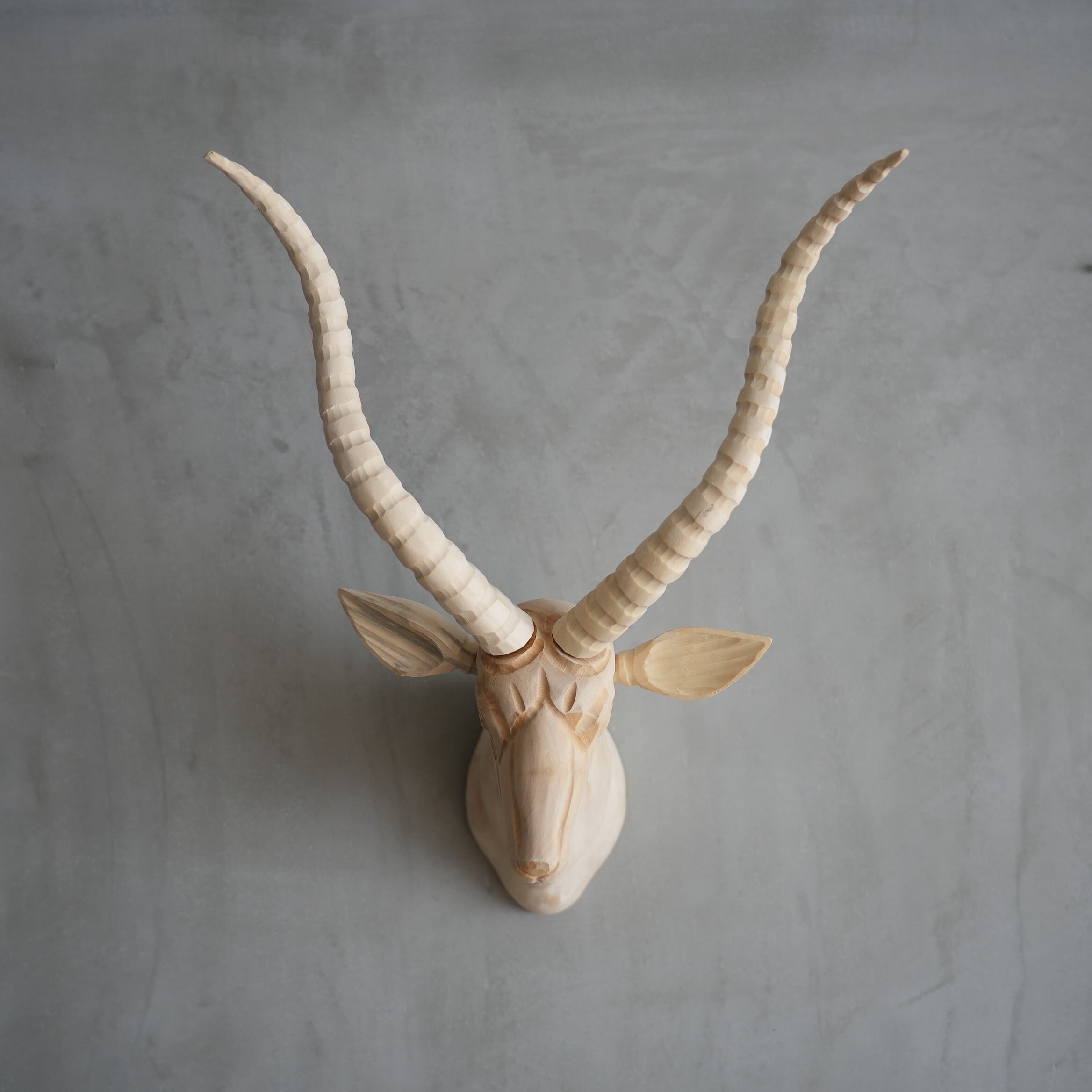 Wood Animal Head / Gazelle