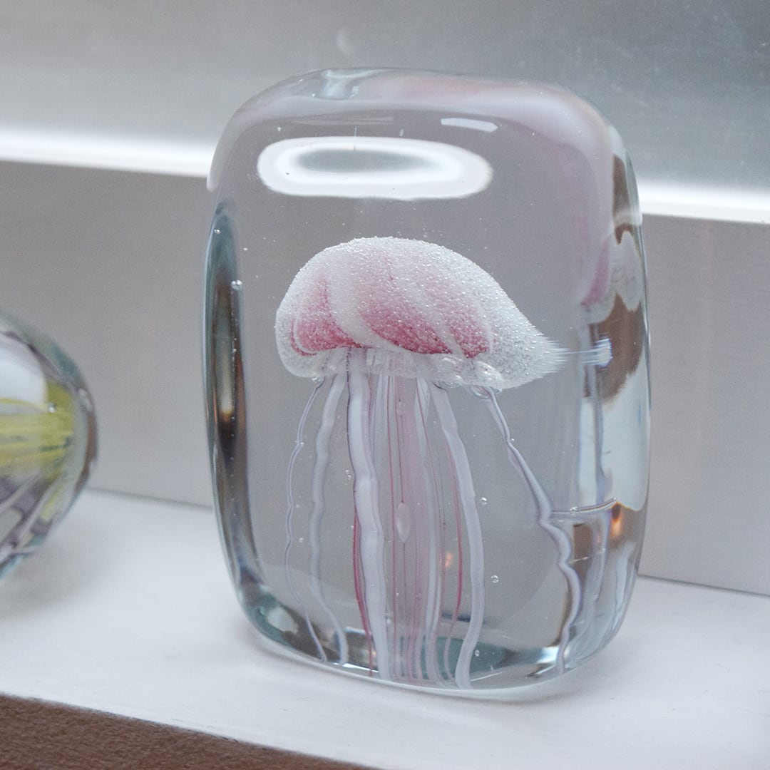 Jellyfish Twisted Leg "Square / Pink"