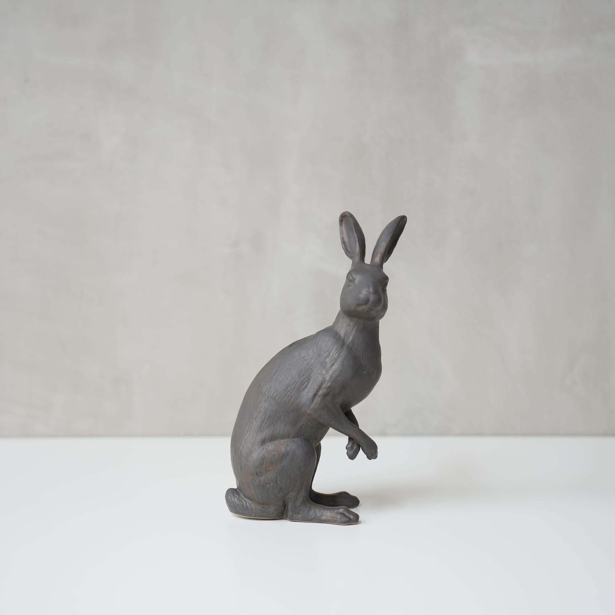 Curious Hare Black PP-023-04