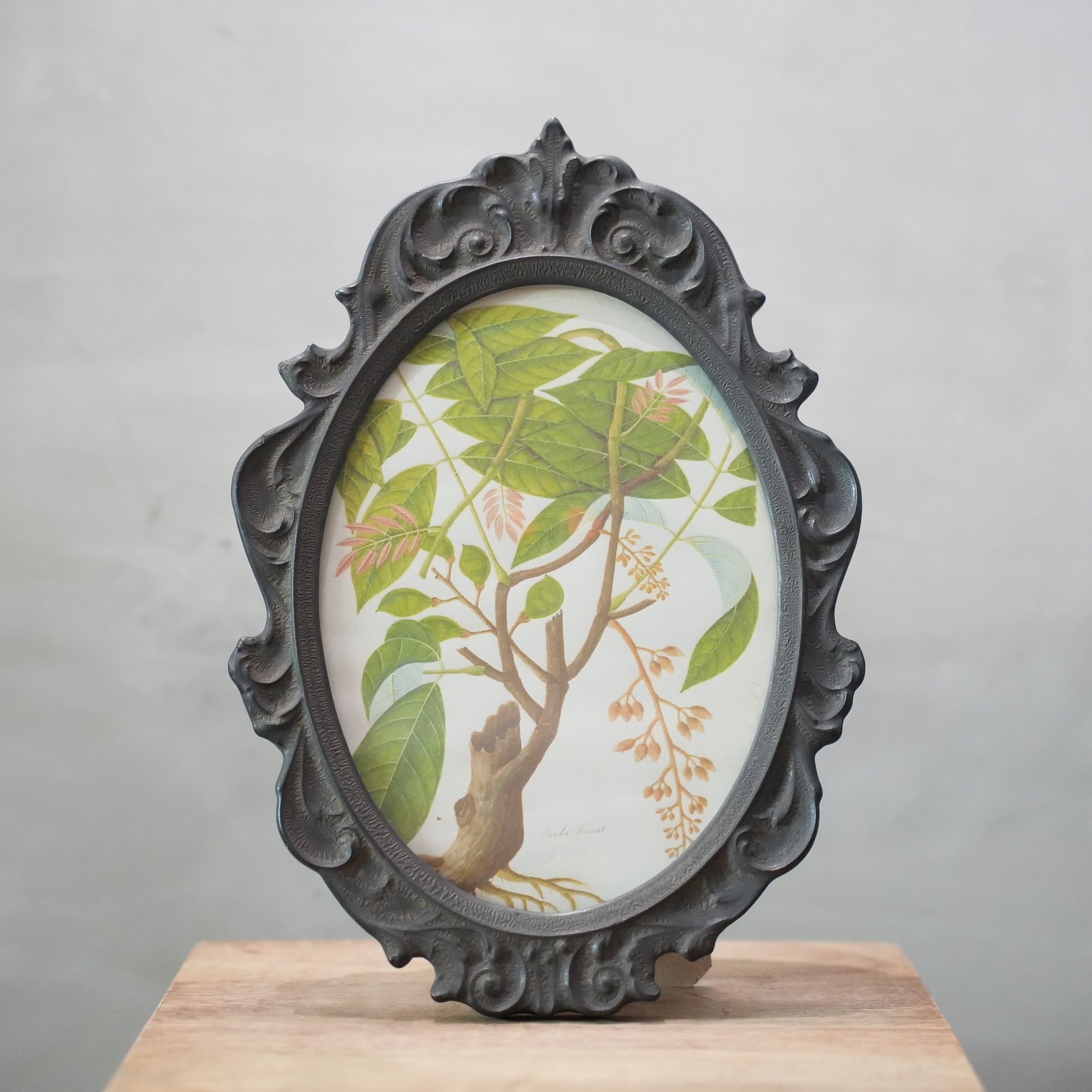 Ornament Frame Black　CF-004-04