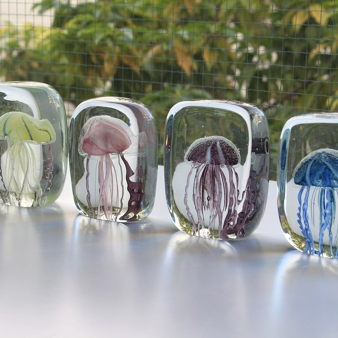Jellyfish Twisted Leg Jellyfish Twisted Leg