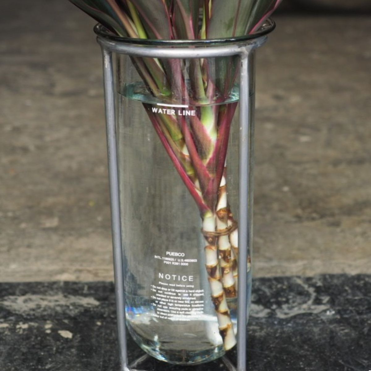 Glass Tube with Stand