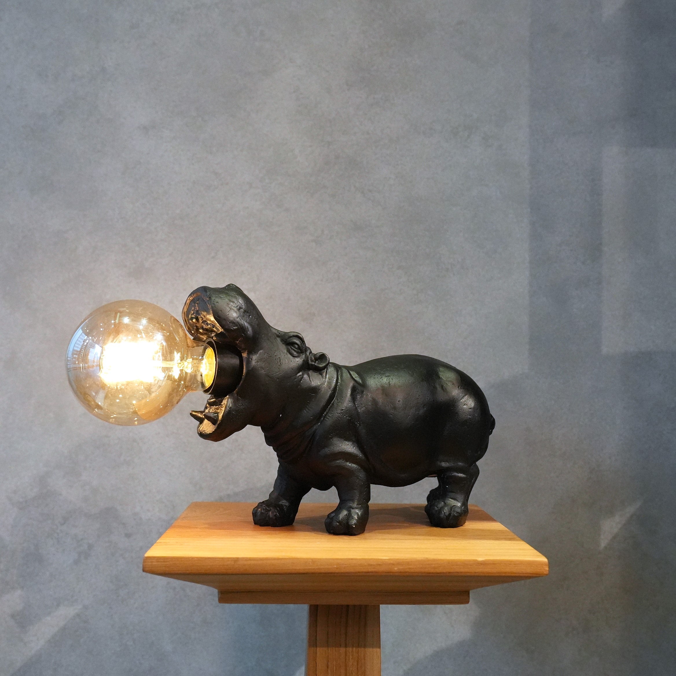 Animal Light　Hippopotamus