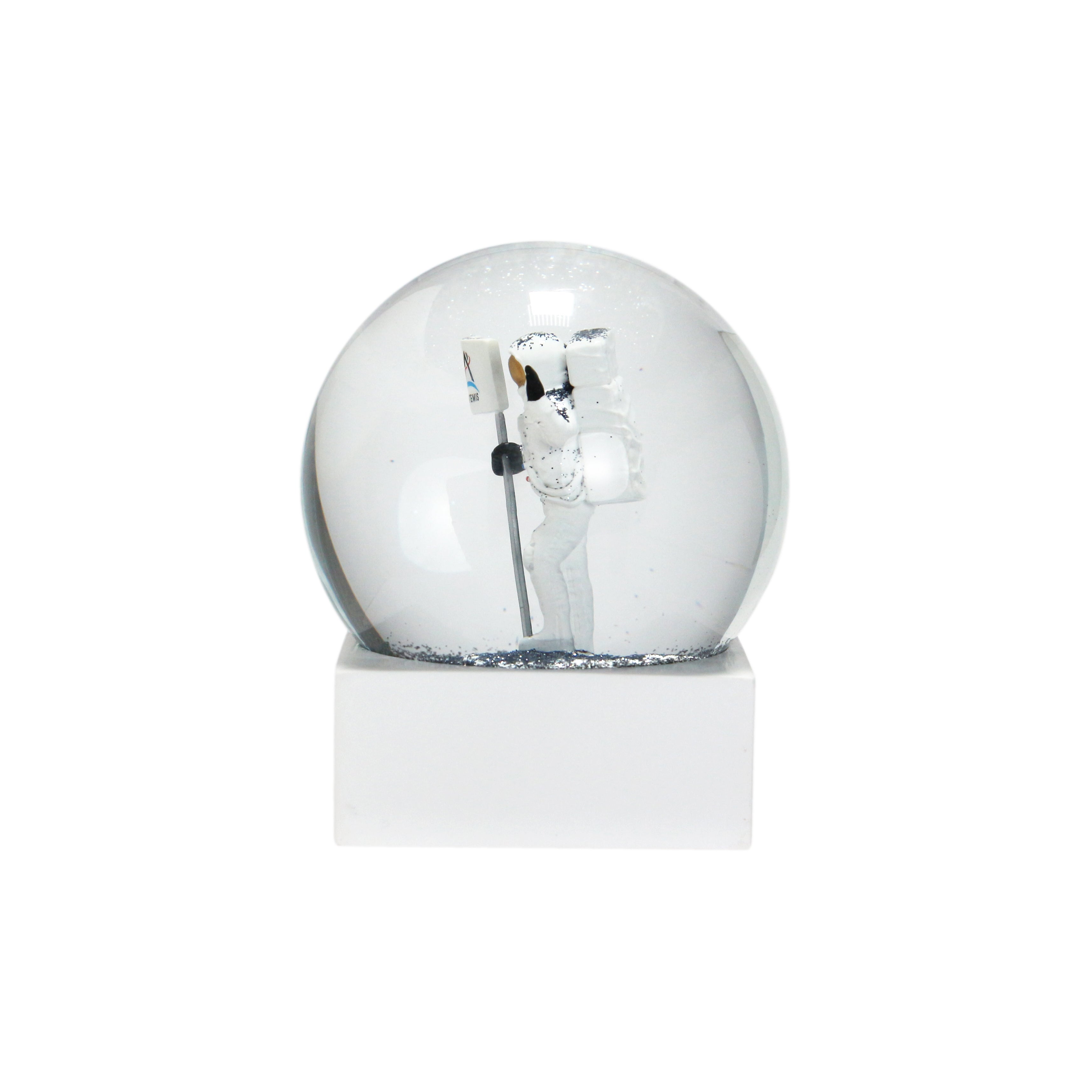 NASA Snow Globe