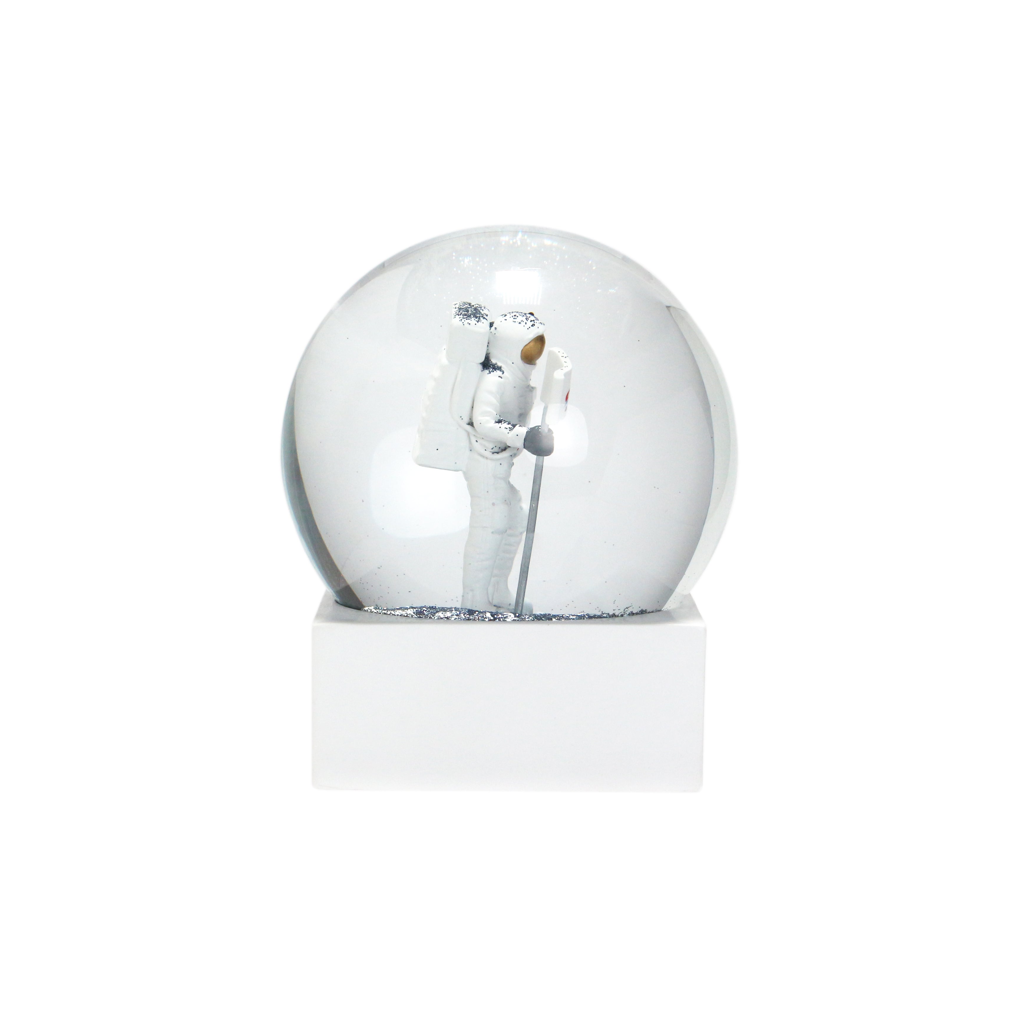 NASA Snow Globe