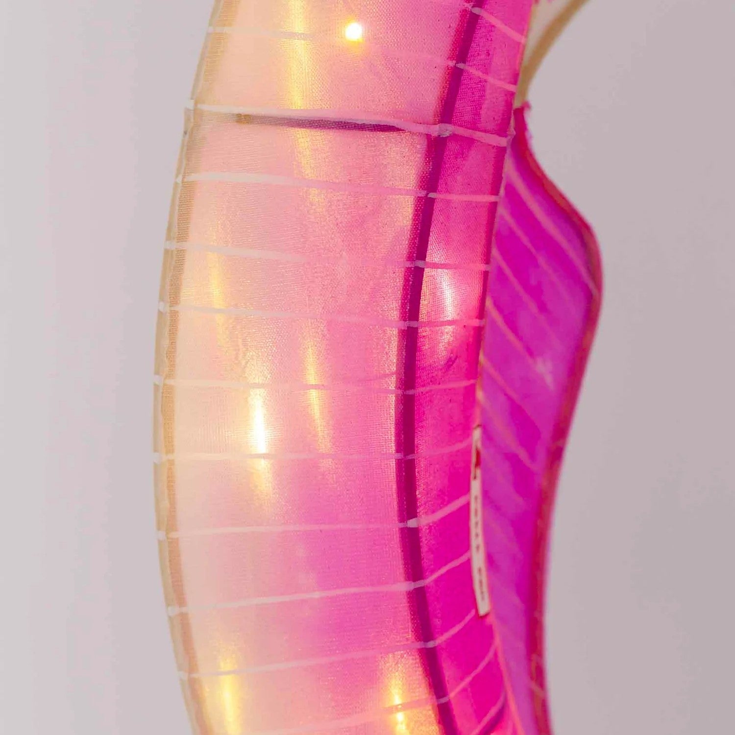 Sea Horse