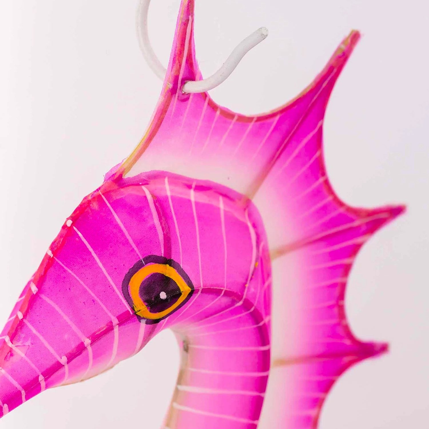 Sea Horse